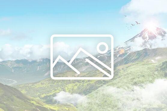 移动水囊(移动水袋)在森林灭火中作用日增