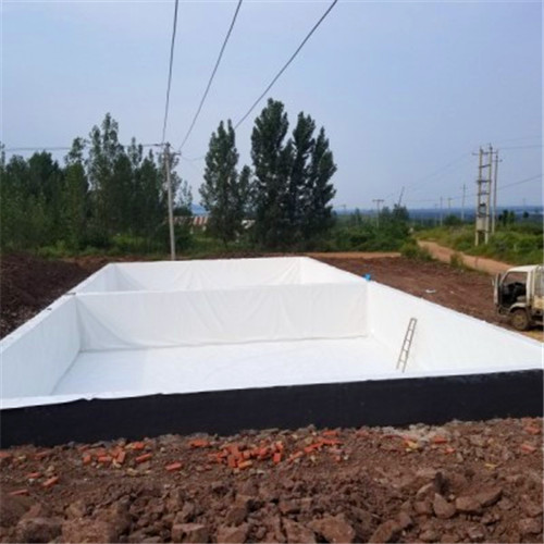 沼气袋储存沼气的使用（沼气袋对新农村沼气池建设的作用）