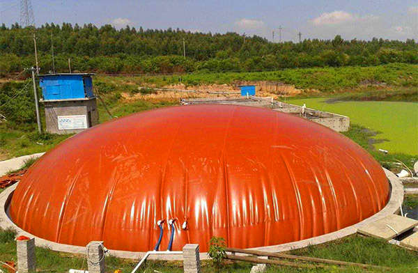 养殖场的粪便怎么处理（养殖场建设沼气池有补助吗）