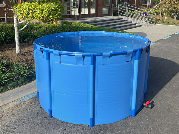 支架水池有异味和泡沫的原因分析（支架水池长绿藻该如何处理）