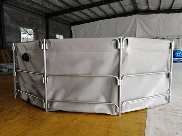 水池的水起绿色该怎么处理（支架水池的水变绿该怎么清理）