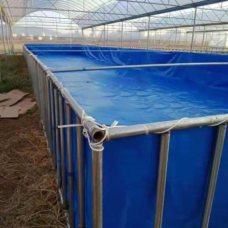 大型钢管支架游泳池怎么安装 大型钢管支架游泳池怎么安装