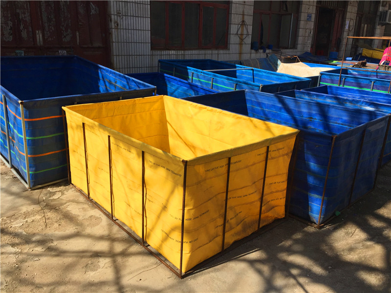 鱼池养殖什么回报高（养鱼池养鱼技术）