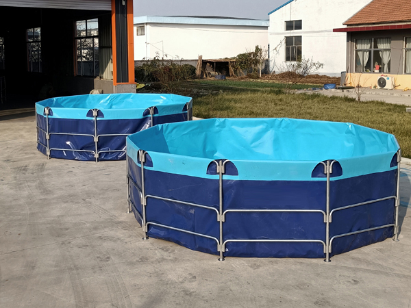 儿童支架水池多少钱